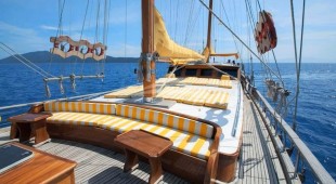 Fortuna East Mediterranean