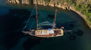 Fortuna East Mediterranean