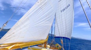 Fortuna East Mediterranean