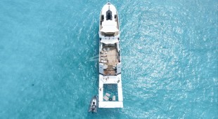 Fox Caribbean, East Mediterranean, West Mediterranean