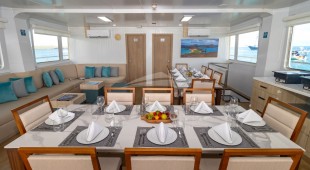 Galapagos Angel West Coast South America