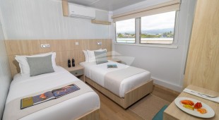 Galapagos Angel West Coast South America