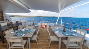 Galapagos Angel West Coast South America