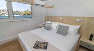 Galapagos Angel West Coast South America