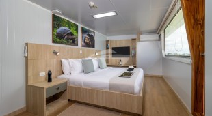 Galapagos Angel West Coast South America