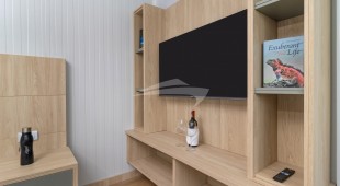 Galapagos Angel West Coast South America