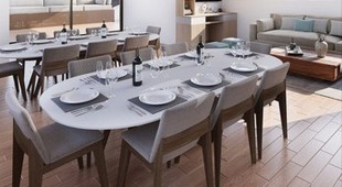 Galapagos Angel West Coast South America