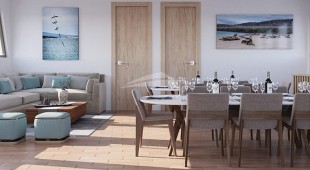 Galapagos Angel West Coast South America