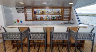 Galapagos Angel West Coast South America