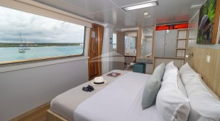 Galapagos Angel West Coast South America