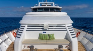 Galapagos Angel West Coast South America