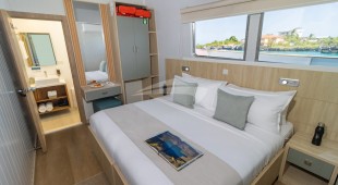 Galapagos Angel West Coast South America