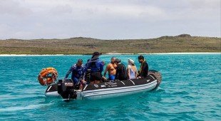 Galapagos Angel West Coast South America