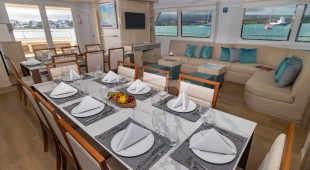 Galapagos Angel West Coast South America