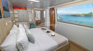 Galapagos Angel West Coast South America