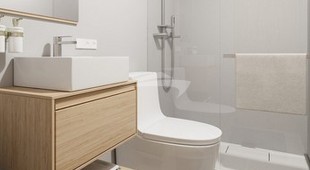 Galapagos Angel West Coast South America