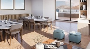 Galapagos Angel West Coast South America