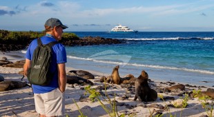 Galapagos Angel West Coast South America