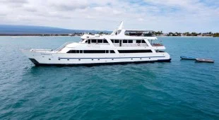 Galapagos Sea Star Yacht South America, Galapagos