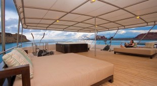 Galapagos Seastar West Coast South America, East Coast South America