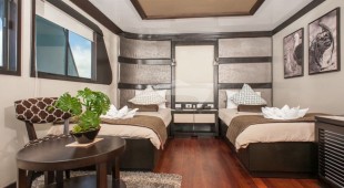 Galapagos Seastar West Coast South America, East Coast South America