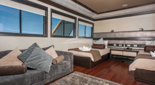 Galapagos Seastar West Coast South America, East Coast South America