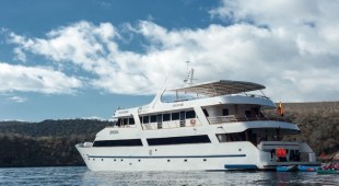 Galapagos Seastar West Coast South America, East Coast South America