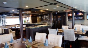 Galapagos Seastar West Coast South America, East Coast South America