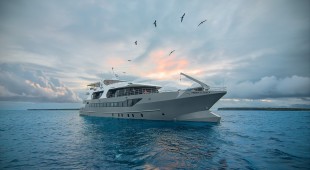 Galapagos Tribute West Coast South America