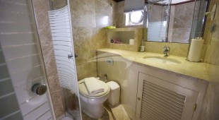 Gazella East Mediterranean