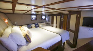 Gazella East Mediterranean