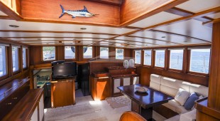 Gazella East Mediterranean