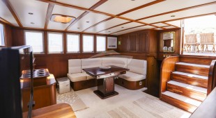 Gazella East Mediterranean