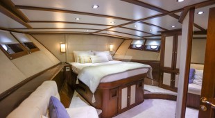 Gazella East Mediterranean