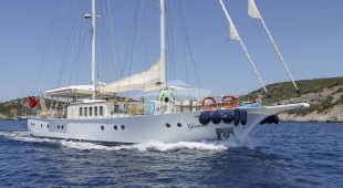 Gazella East Mediterranean