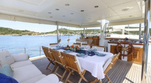 Gazella East Mediterranean