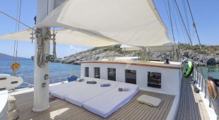 Gazella East Mediterranean