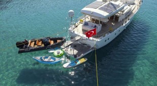 Gazella East Mediterranean