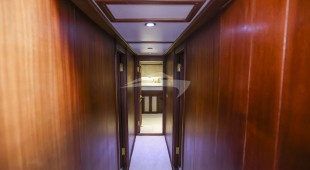 Gazella East Mediterranean