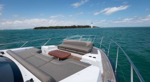 Geisha Caribbean, East Coast United States