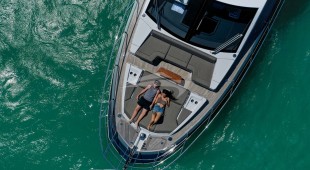 Geisha Caribbean, East Coast United States