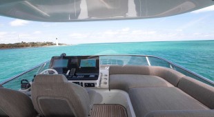 Geisha Caribbean, East Coast United States