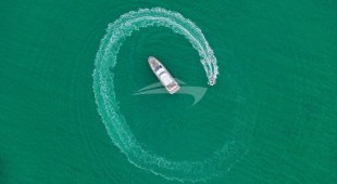 Geisha Caribbean, East Coast United States