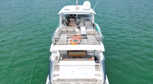 Geisha Caribbean, East Coast United States