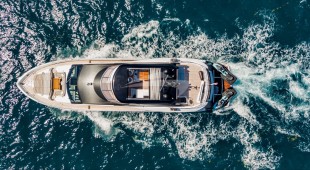 Golden Ours Caribbean, East Coast United States