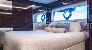 Golden Ours Caribbean, East Coast United States