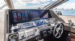 Golden Ours Caribbean, East Coast United States