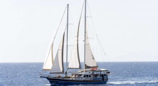 Gozdem The One East Mediterranean