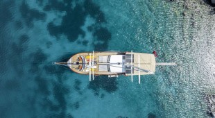 Gozdem The One East Mediterranean