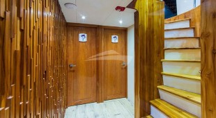 Grand Daphne West Coast South America, East Coast South America